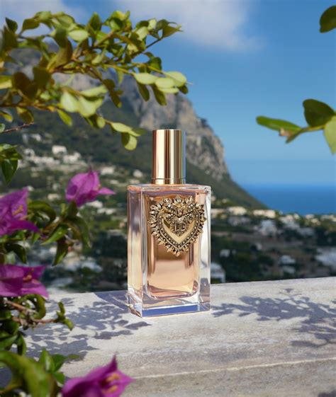 dolce gabbana perfume 2021|dolce and gabbana perfume website.